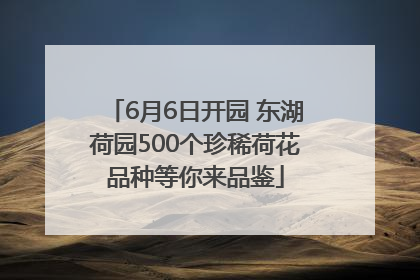 6月6日开园 东湖荷园500个珍稀荷花品种等你来品鉴