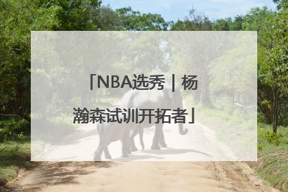 NBA选秀｜杨瀚森试训开拓者
